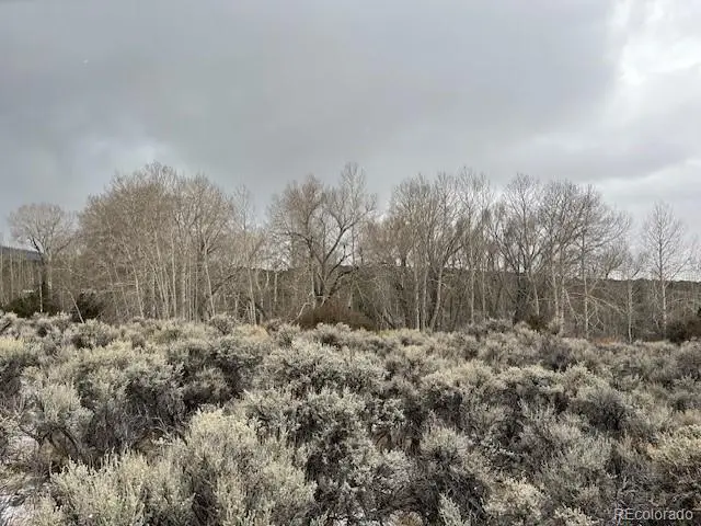Lot 2242 Slegers Road, Fort Garland, CO 81133 - Image #1