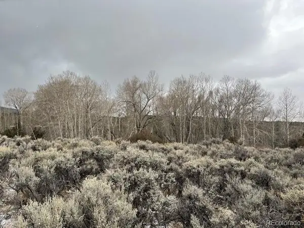 Lot 2242 Slegers Road, Fort Garland, CO 81133