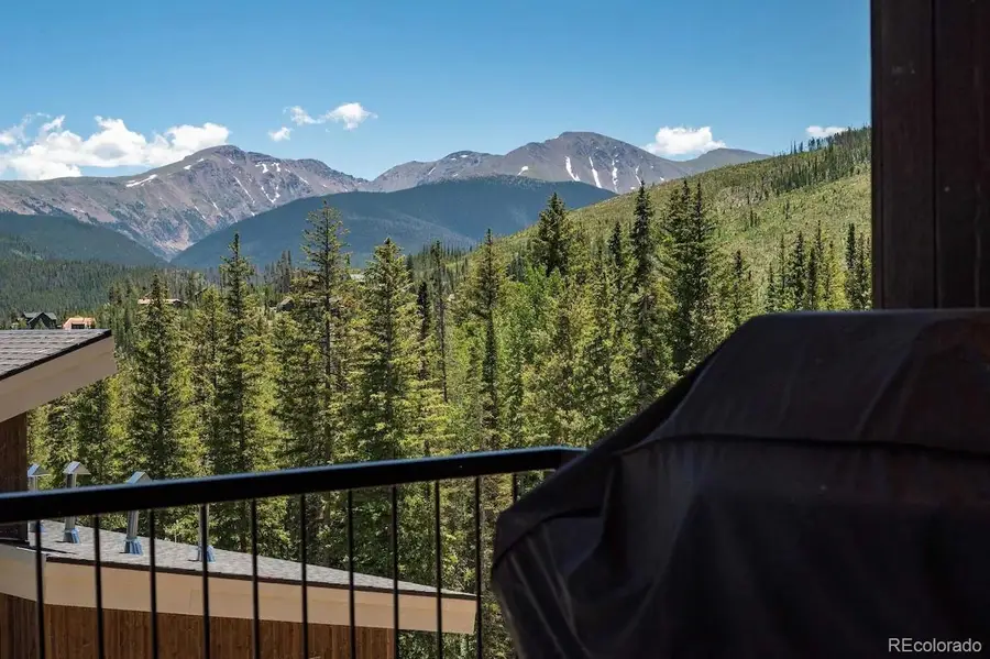 387 Bear Trail, Winter Park, CO 80482 - #3