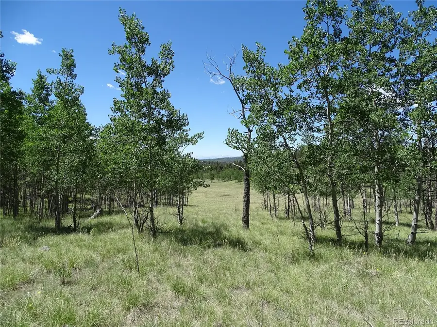 782 Bowstring Road, Como, CO 80432 - #2