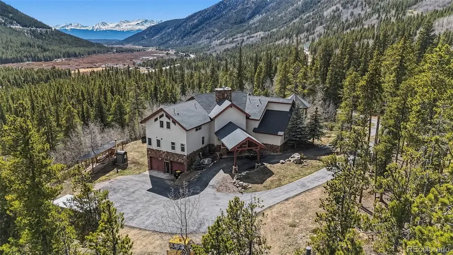 300 Buckeye Creek Road, Leadville, CO 80461 - #2