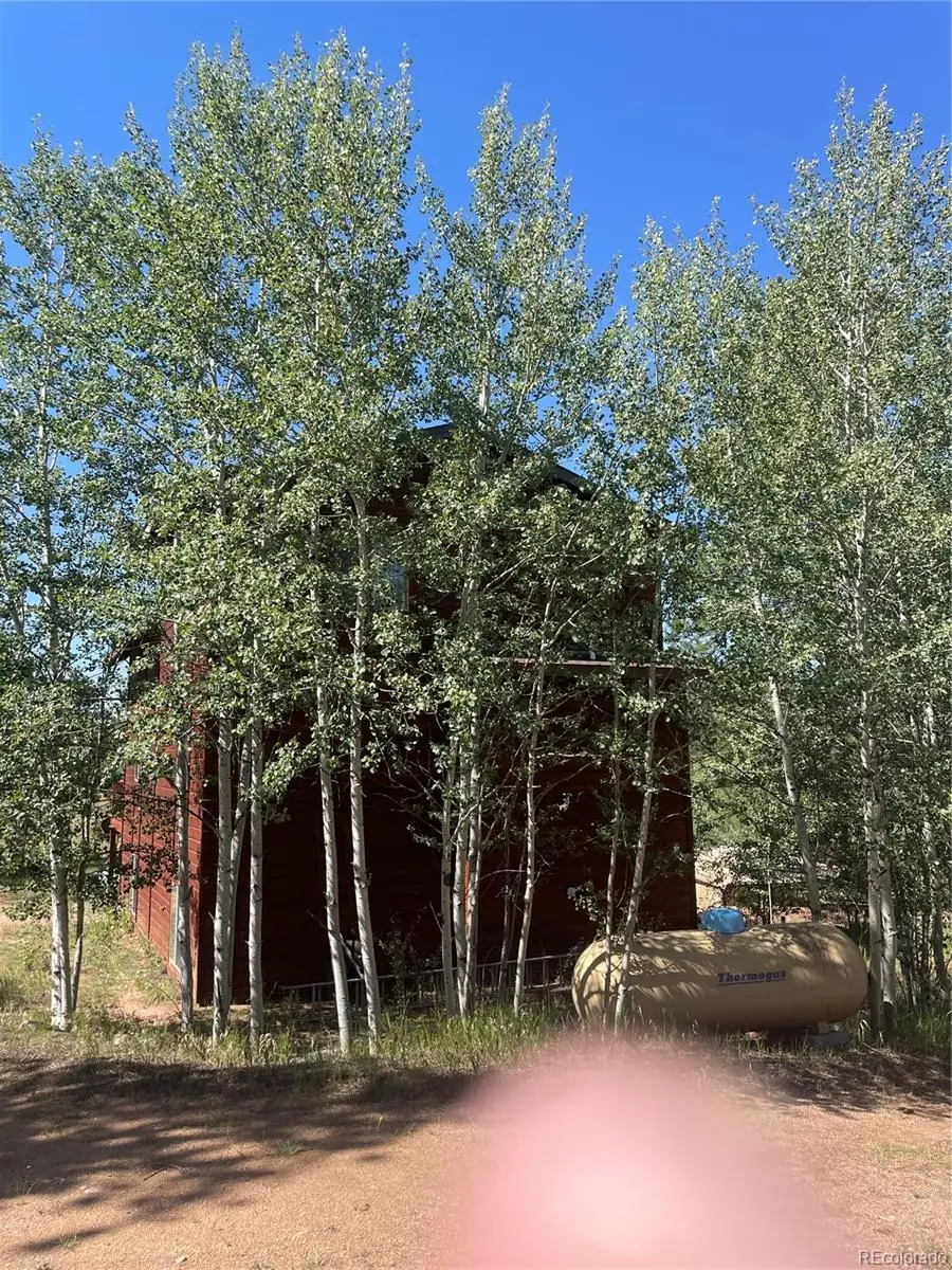 3943 Co Rd 403, Lake George, CO 80827 - #2