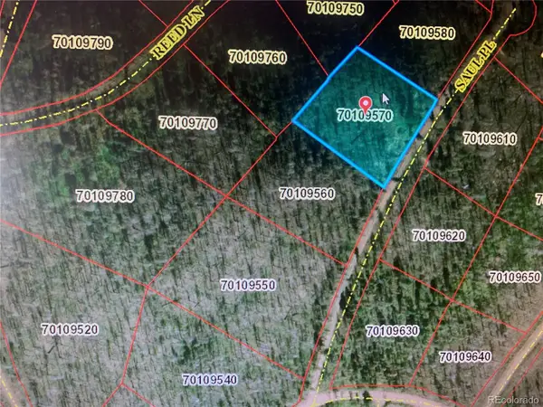 1043 Saul Place, Fort Garland, CO 81133