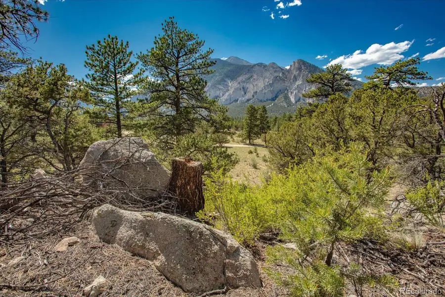 000 Oppliger Drive, Nathrop, CO 81236 - Image #2