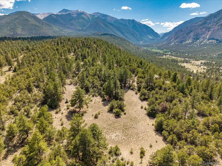 000 Oppliger Drive, Nathrop, CO 81236 - Image #3