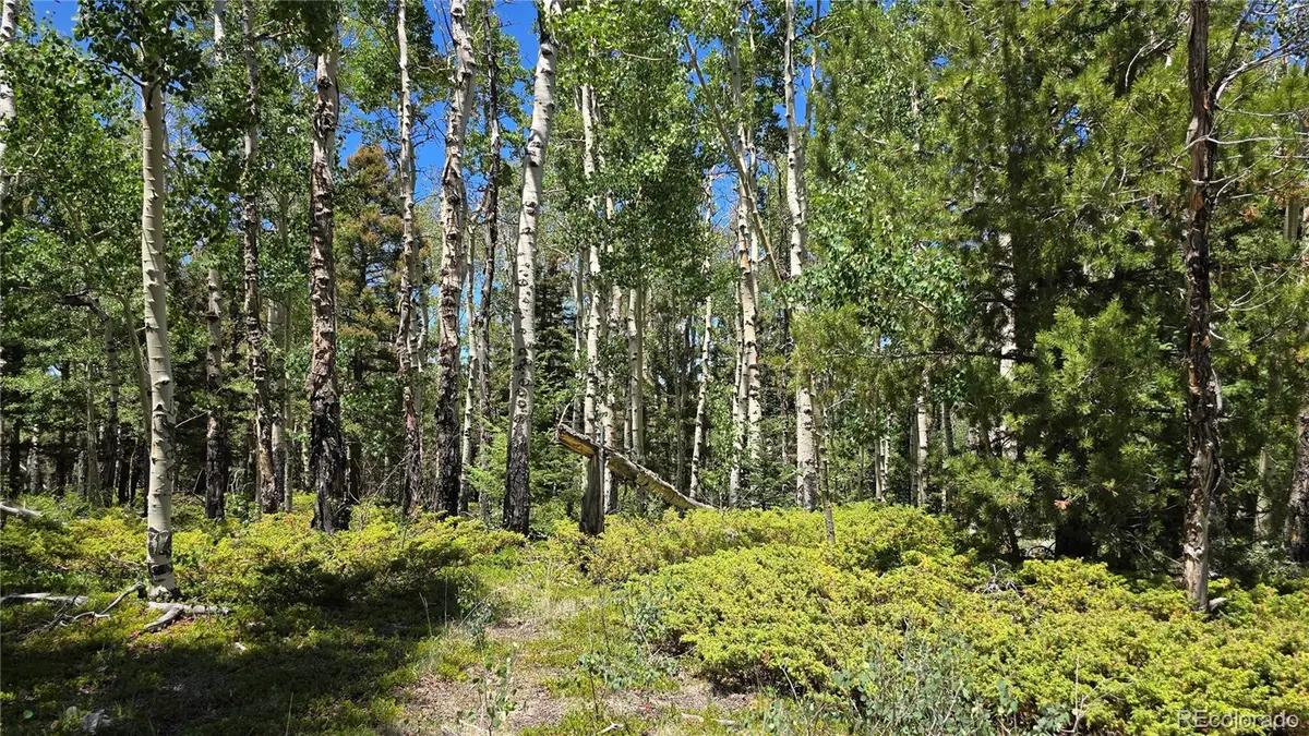 Lot 6748 Starkweather Road, San Luis, CO 81152 - #1