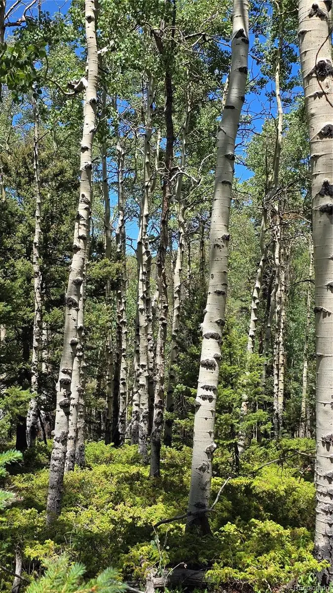 Lot 6748 Starkweather Road, San Luis, CO 81152 - #2