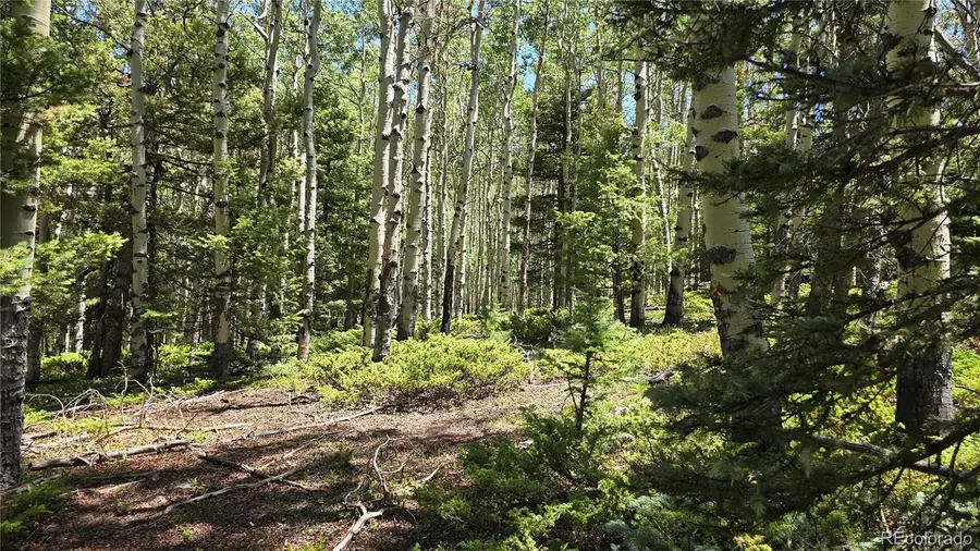 Lot 6748 Starkweather Road, San Luis, CO 81152 - #3