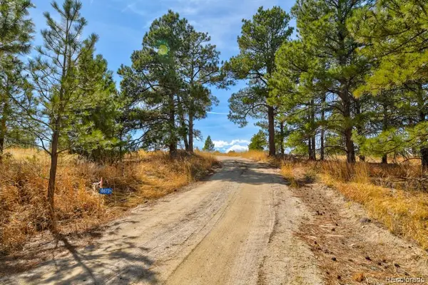 18673 N Elbert Road, Elbert, CO 80106