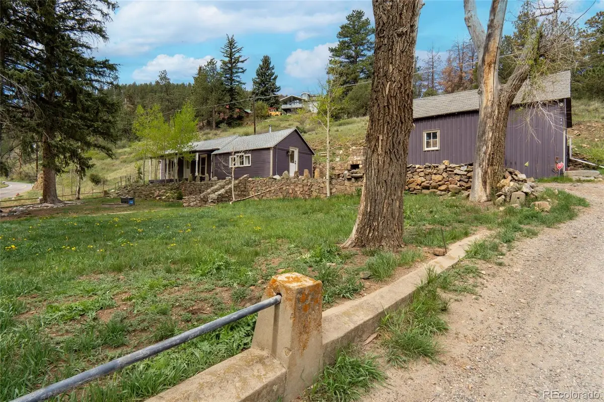 401 Soda Creek Road, Idaho Springs, CO 80452 - #1