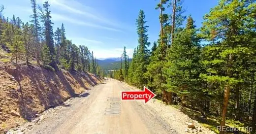 Lot 42 Mine Road, Idaho Springs, CO 80452 - #2
