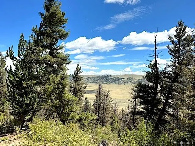 2022 Middle Fork Vista, Fairplay, CO 80440 - #1