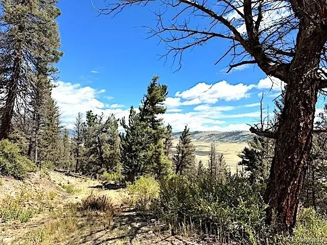 2022 Middle Fork Vista, Fairplay, CO 80440 - #2