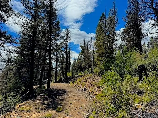 2022 Middle Fork Vista, Fairplay, CO 80440 - #3