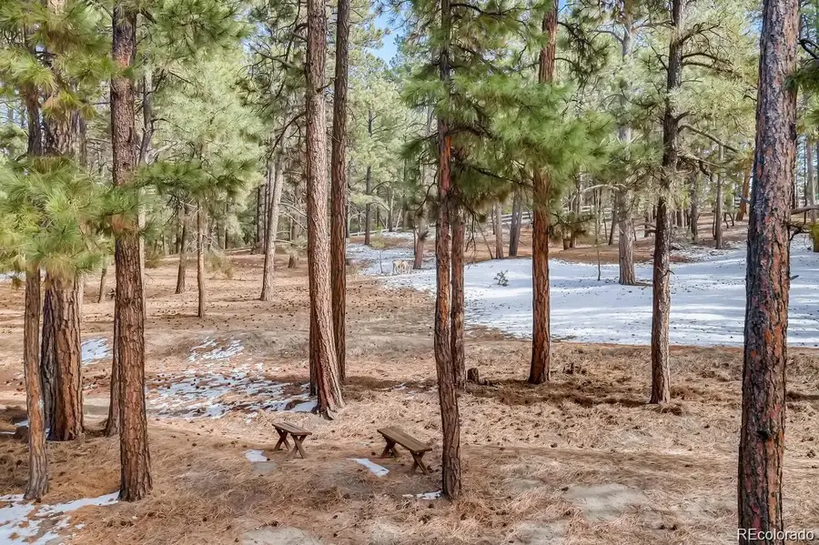 36424 Forest Trail, Elizabeth, CO 80107 - #3