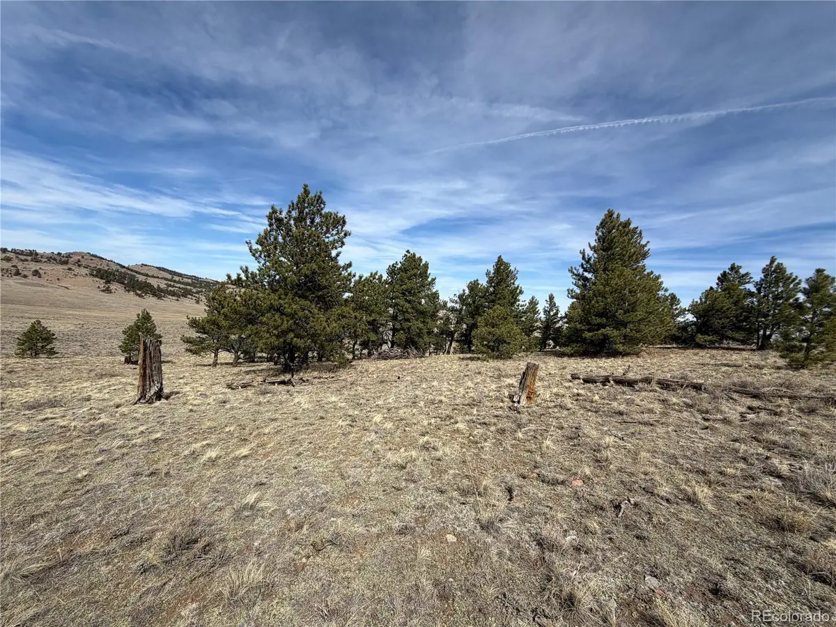 990 Coyotero Trail, Hartsel, CO 80449 - #1