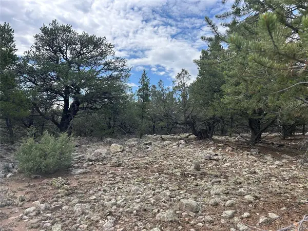 1661 Willow Creek Way, Crestone, CO 81131