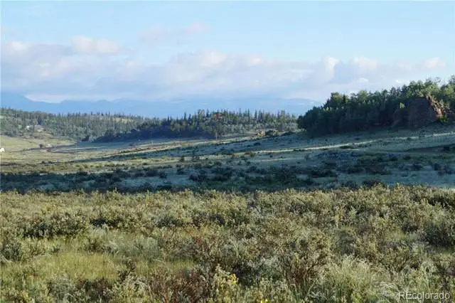 133 Puma Court, Como, CO 80432 - #2