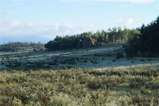 133 Puma Court, Como, CO 80432 - #3