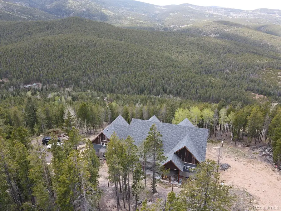 8642 Martin Lane, Conifer, CO 80433 - #3