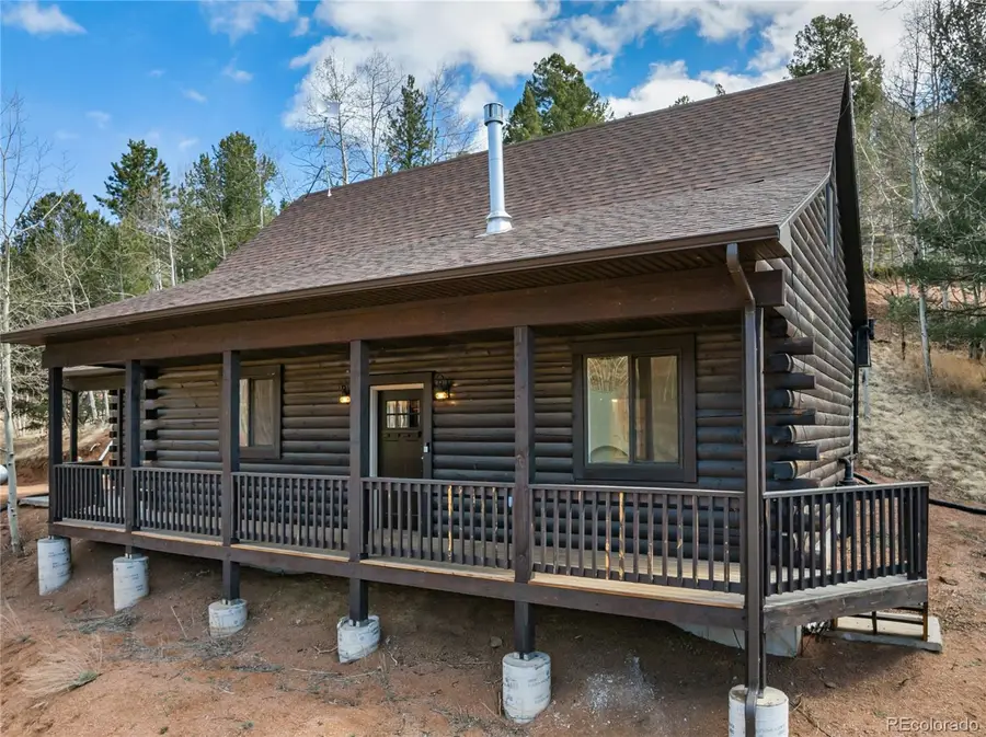 60 Beaver Pond Road, Divide, CO 80814 - #3