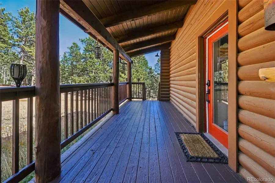 78 Barr Lake Circle, Divide, CO 80814 - #3