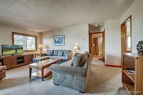 317 W La Bonte Street #107, Dillon, CO 80435 - #2