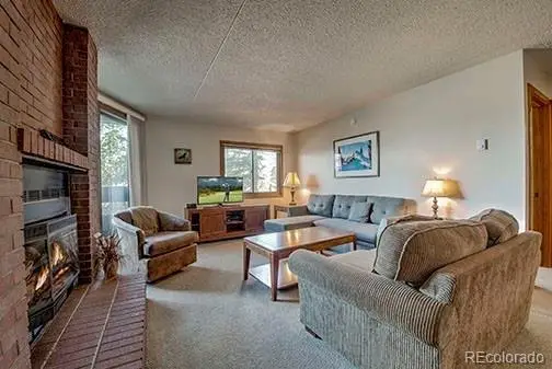 317 W La Bonte Street #107, Dillon, CO 80435 - #3