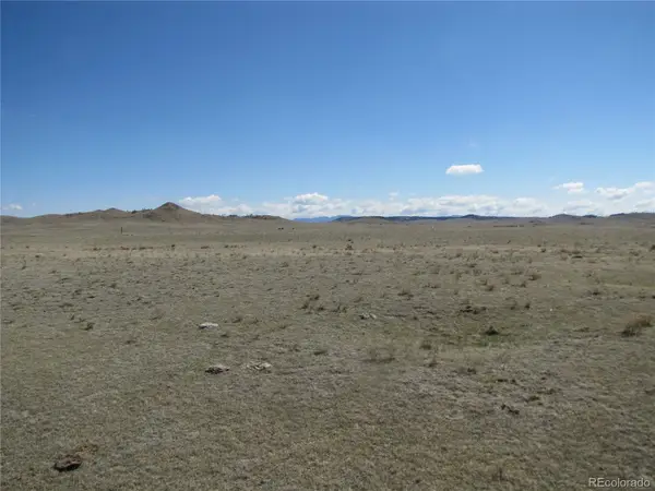 Lot 12 Blackfoot Road, Hartsel, CO 80449