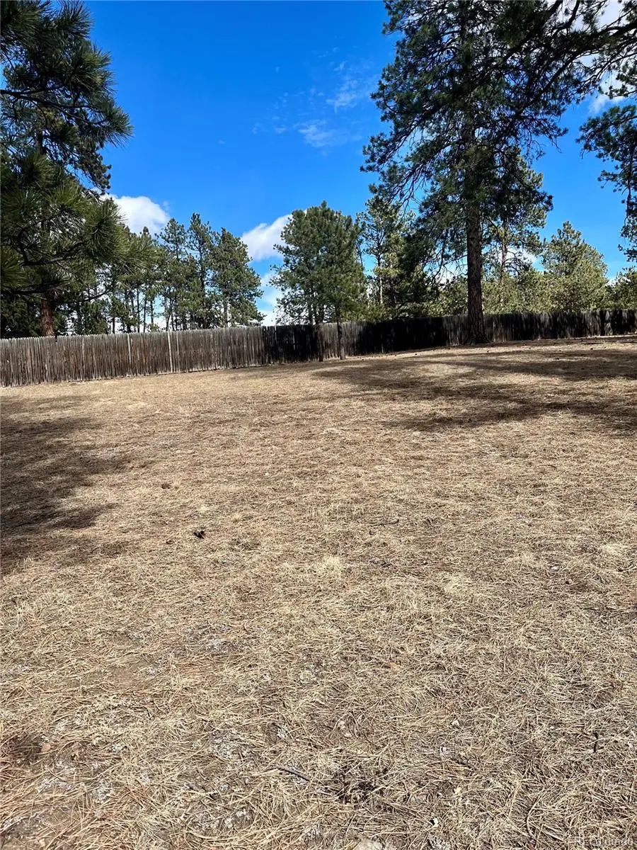 0 Pawnee Road, Indian Hills, CO 80454 - #3