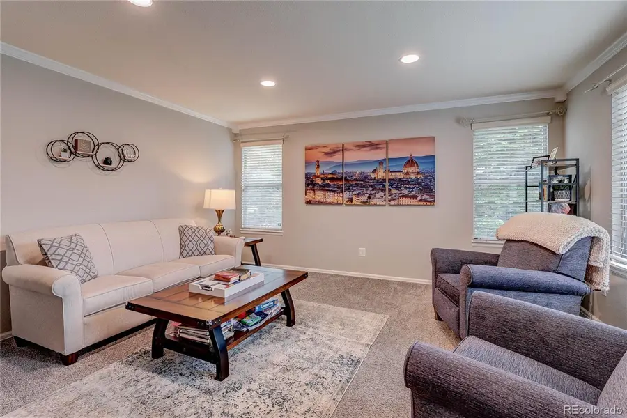 7305 Meadow View, Parker, CO 80134 - #2