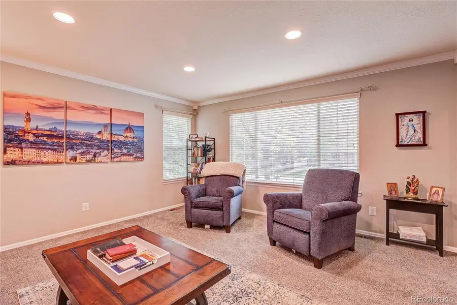 7305 Meadow View, Parker, CO 80134 - #3