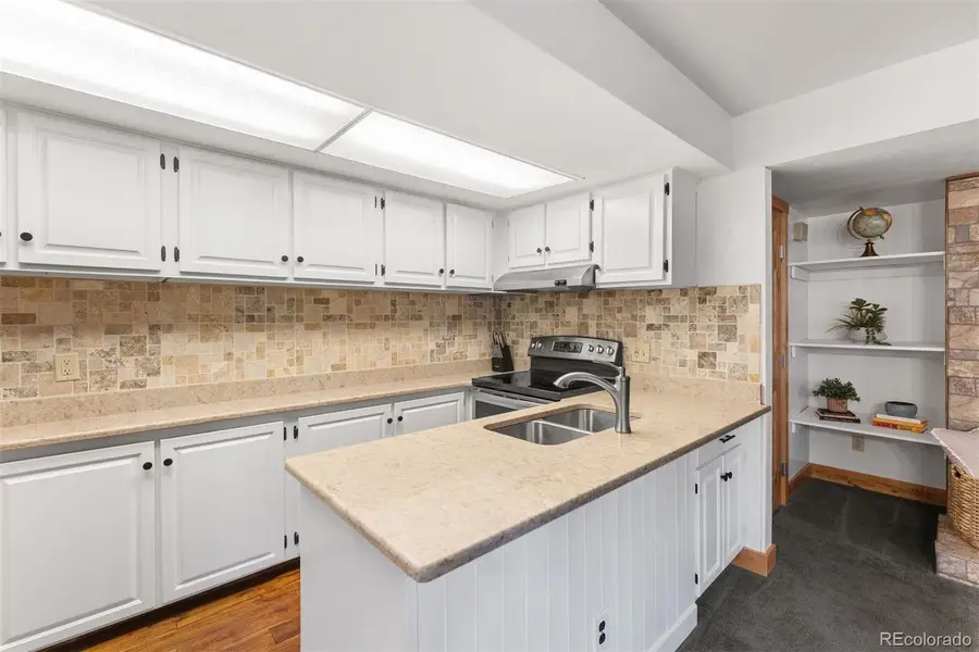 423 Wild Irishman Road #13204, Dillon, CO 80435 - #2