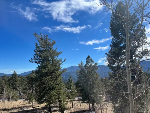 53 Deerhaven Drive, Bailey, CO 80421