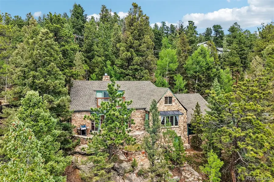 11793 Braun Way, Conifer, CO 80433 - #2