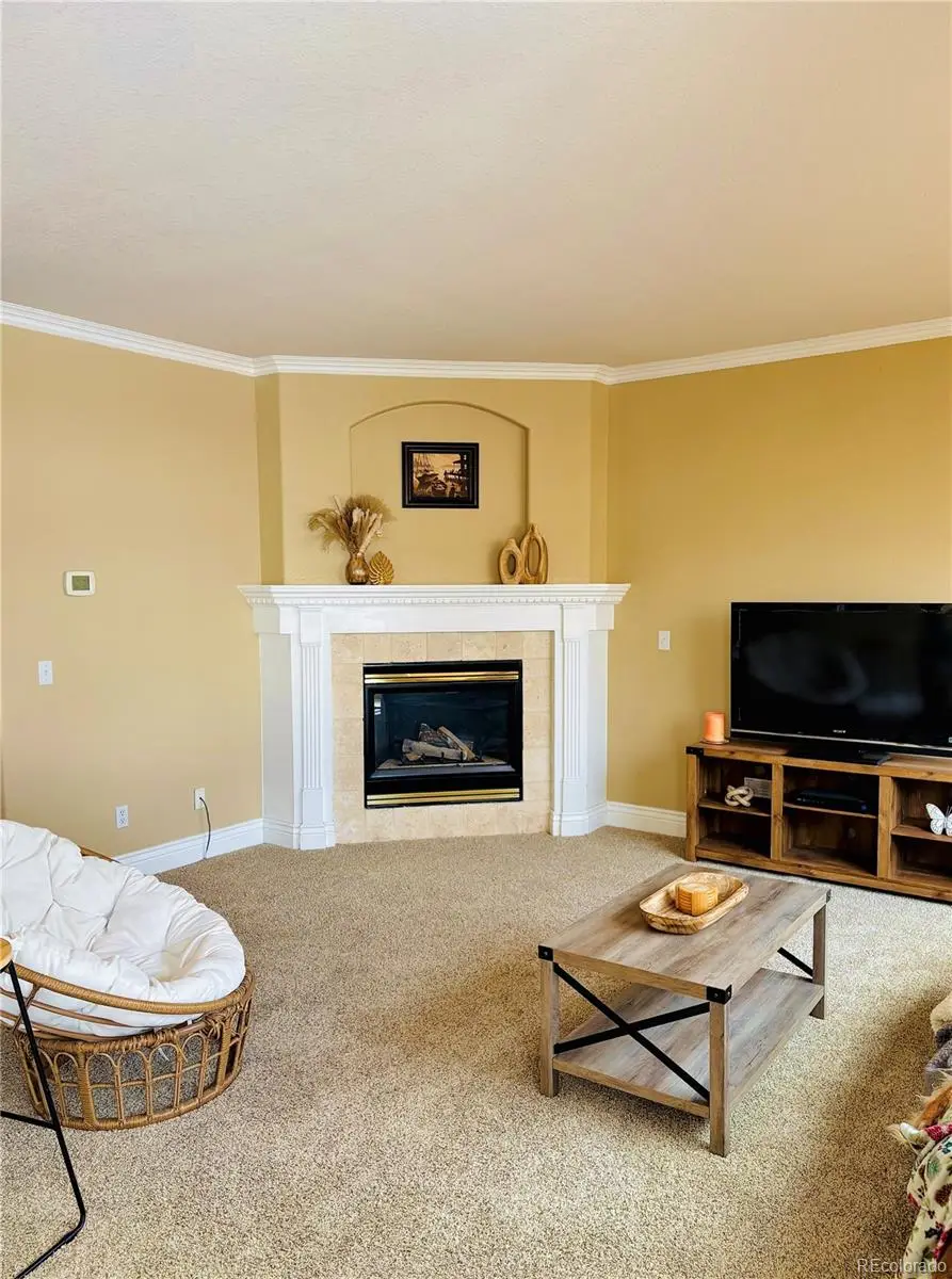 9882 Sylvestor Road, Highlands Ranch, CO 80129 - #2