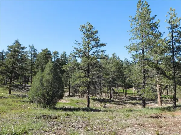 7514 Seminole Drive, Larkspur, CO 80118