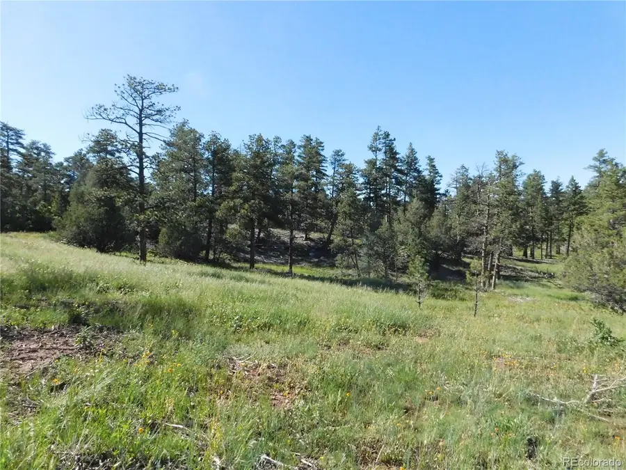 7514 Seminole Drive, Larkspur, CO 80118 - #3