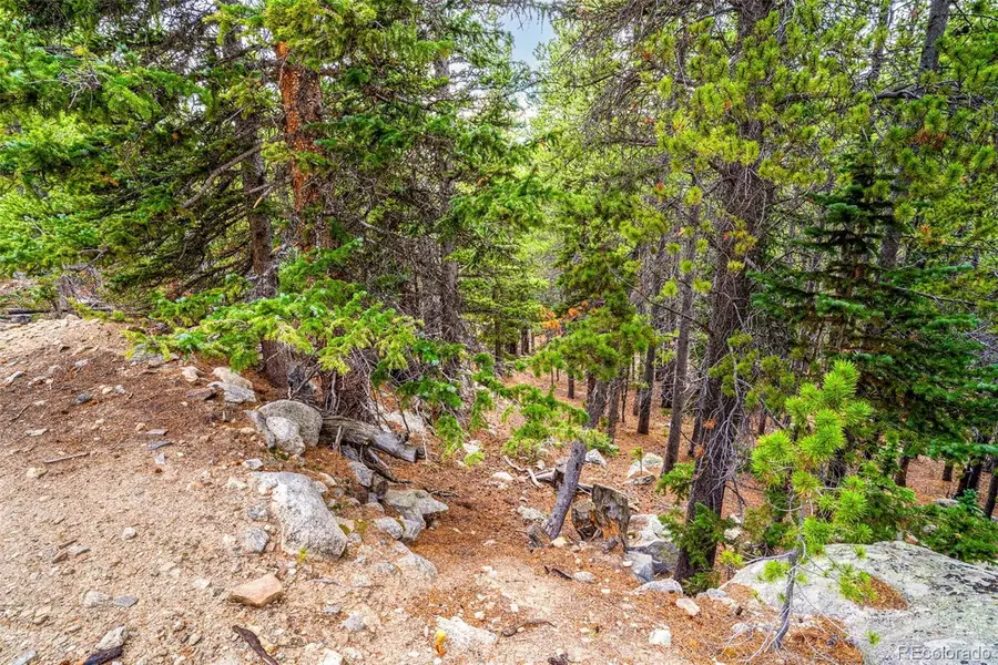 Lot 84 Mine, Idaho Springs, CO 80452 - #3
