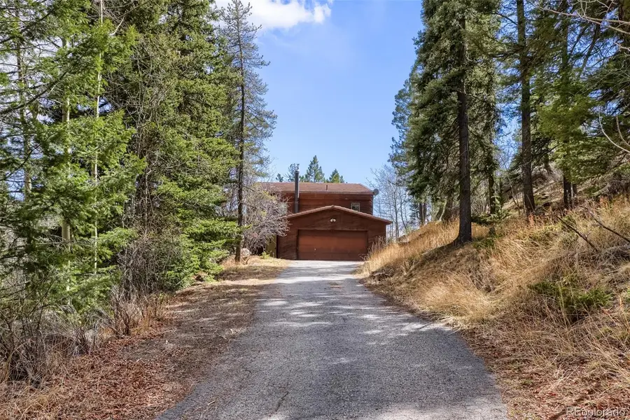 29821 Kings Valley E, Conifer, CO 80433 - #3