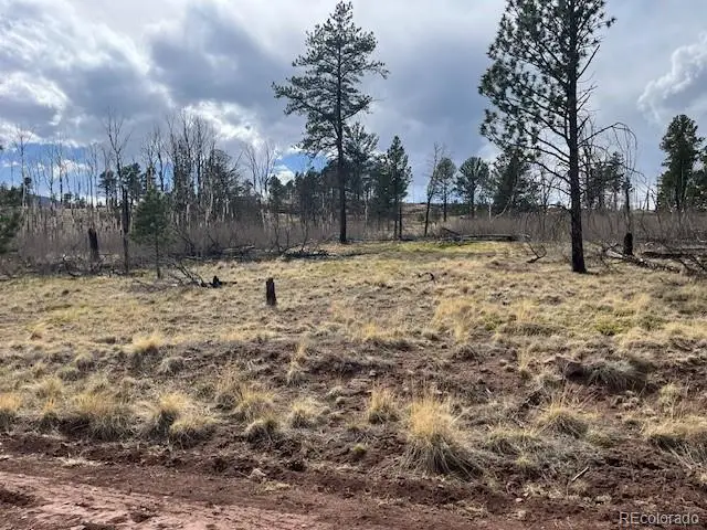 Lot 686 Cogbill Drive, Fort Garland, CO 81133 - #2