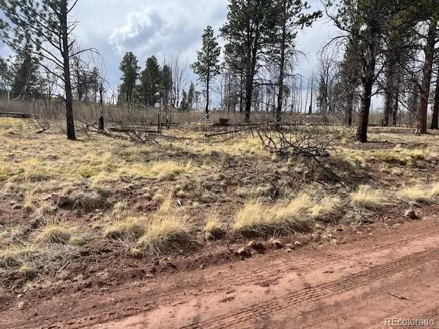 Lot 686 Cogbill Drive, Fort Garland, CO 81133 - #3