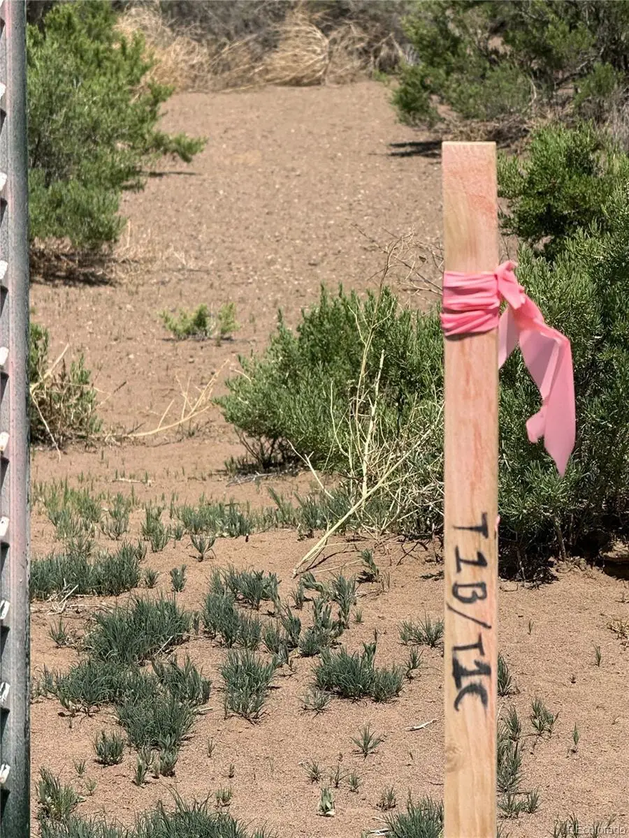 1 Lane 2 N, Mosca, CO 81146 - #2