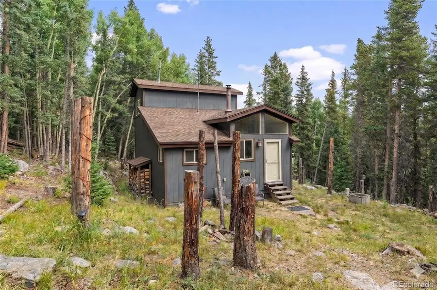 388 Saw Mill Lane, Idaho Springs, CO 80452 - #2