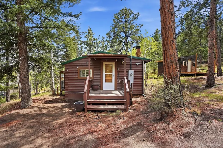 14032 S Olive Avenue, Pine, CO 80470 - #3