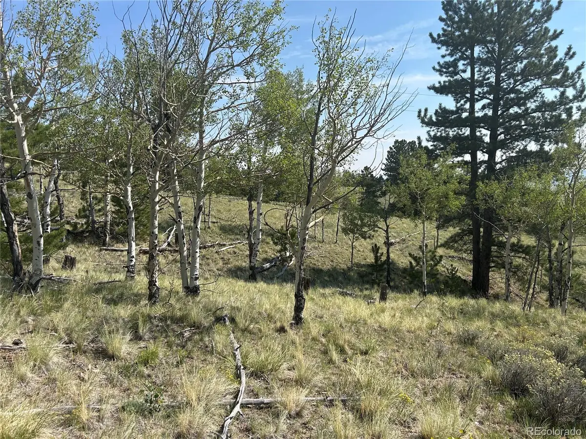 11414 Ranch Road, Hartsel, CO 80449 - #1