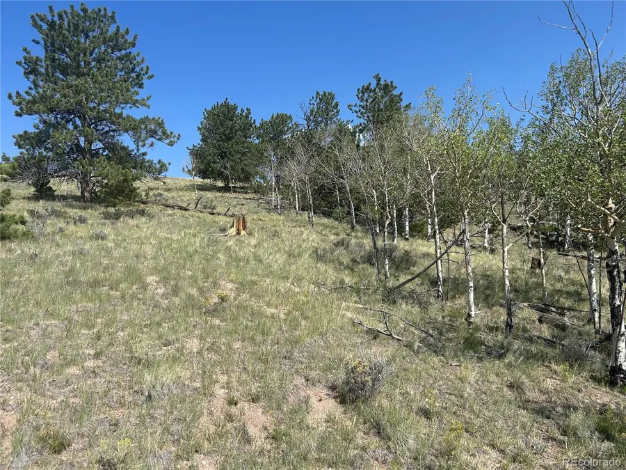 11414 Ranch Road, Hartsel, CO 80449 - #2
