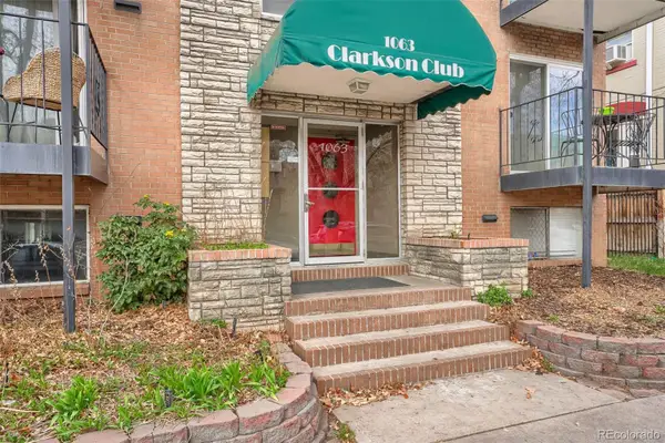 1063 N Clarkson Street #1, Denver, CO 80218