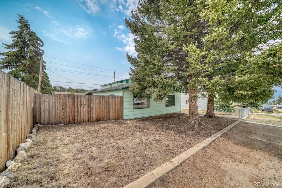 215 Elm Street, Leadville, CO 80461 - #3