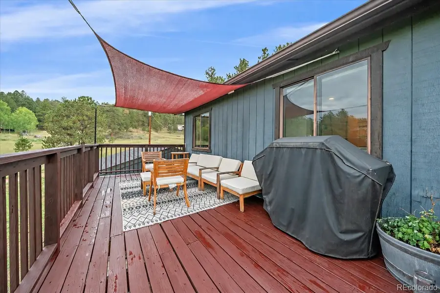 12564 S Lora, Pine, CO 80470 - #2